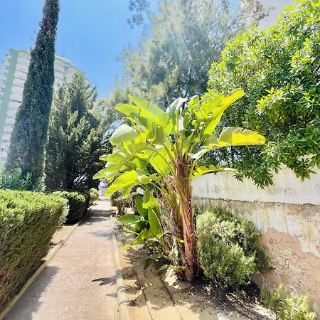 Apartment Gaivota - Beach 300m - Pool - Private Parking